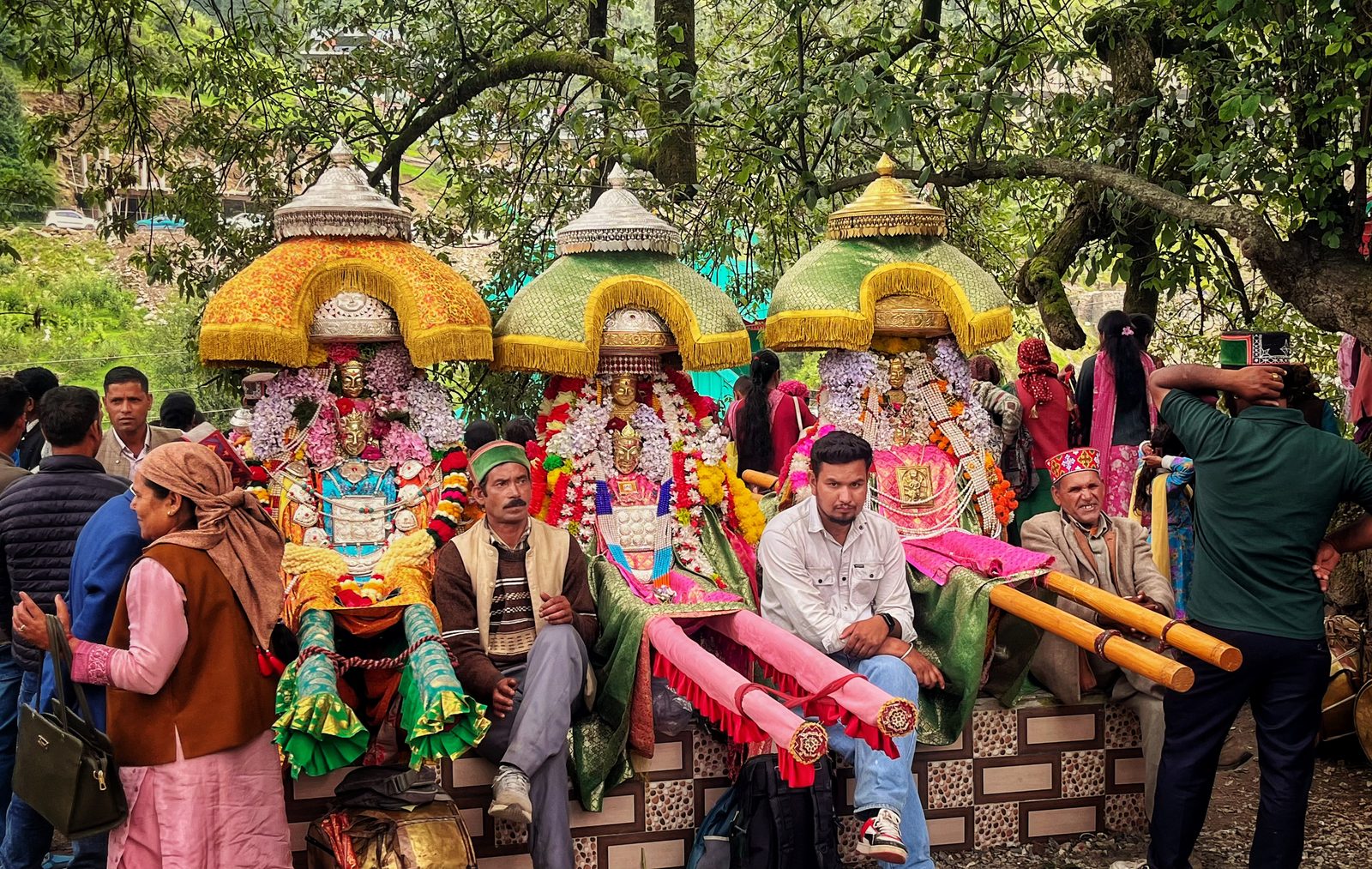 Cultural Festival Experiences
