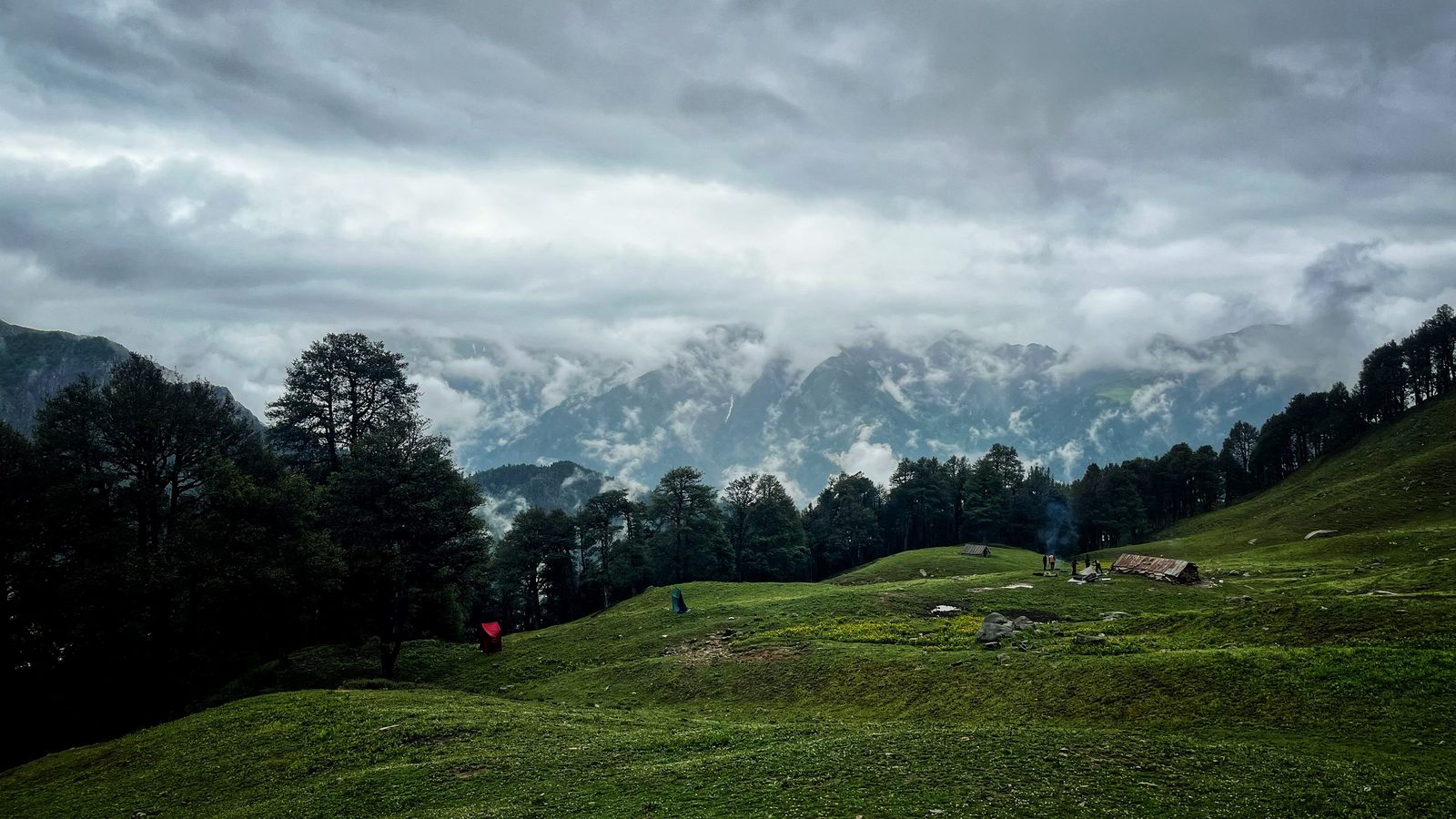 Misty Himalayan pasture